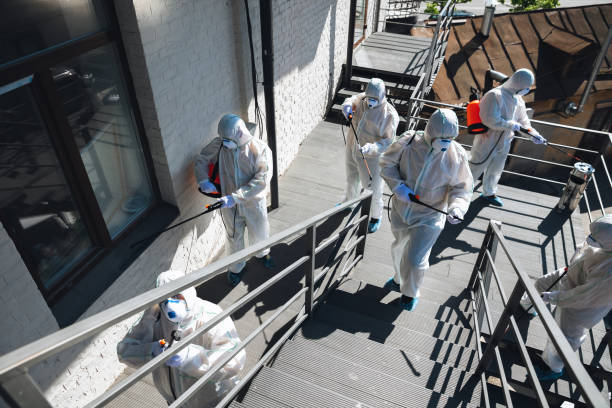 Best Environmental Consulting for Mold Prevention  in Eddyville, KY