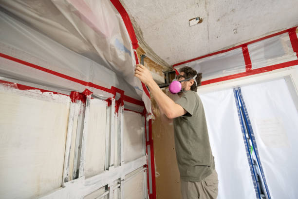 Best HVAC Mold Inspection and Cleaning  in Eddyville, KY